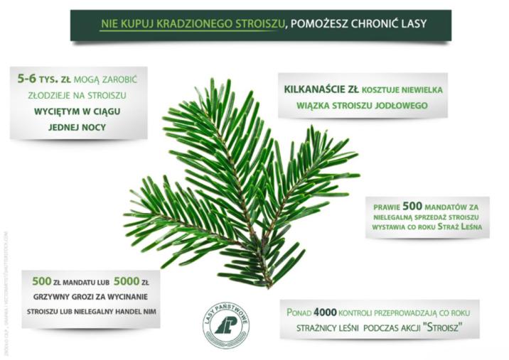 Infografika&#x20;-&#x20;Akcja&#x20;stroisz&#x20;2015