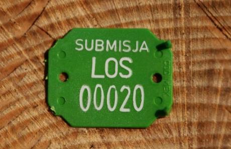 Submisja drewna cennego