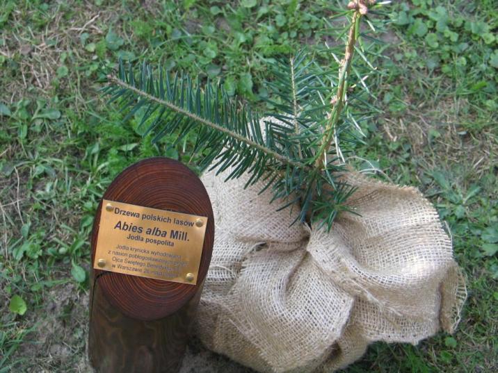 Fot&#x2e;&#x20;Zdzisława&#x20;Kot-Malinowska